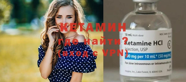 индика Новозыбков