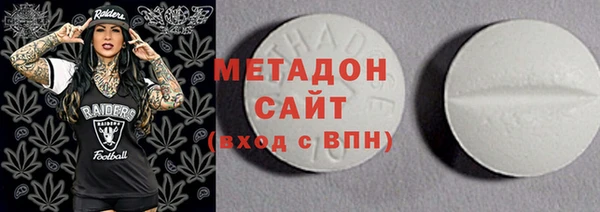 индика Новозыбков