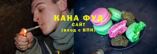 индика Новозыбков