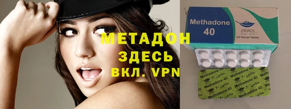 индика Новозыбков