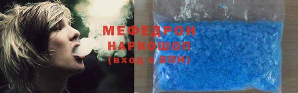 индика Новозыбков