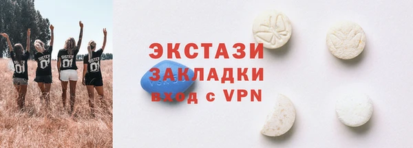 индика Новозыбков