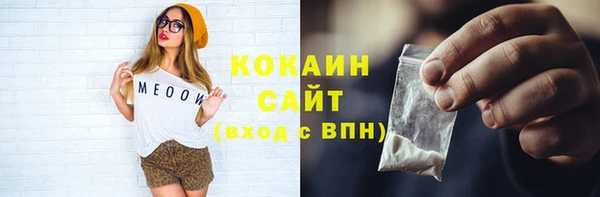 индика Новозыбков