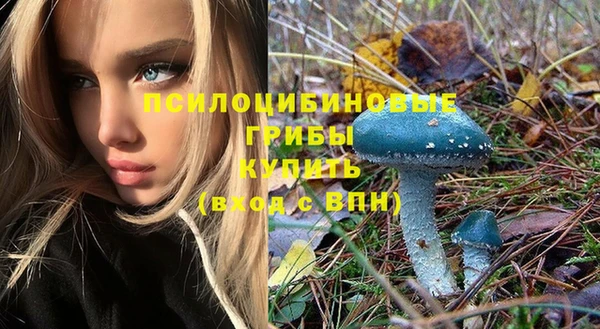 mdma Новодвинск