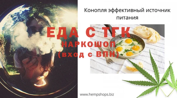 индика Новозыбков