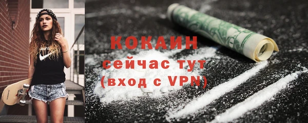 индика Новозыбков
