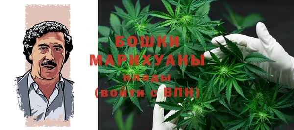 индика Новозыбков
