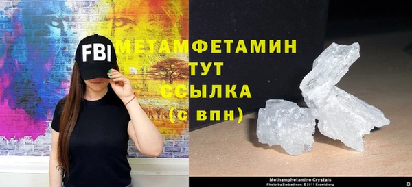 индика Новозыбков