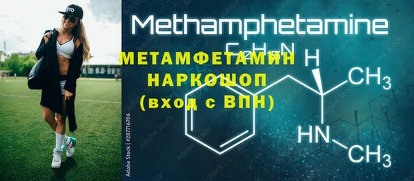 индика Новозыбков