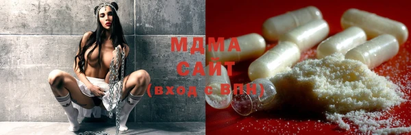 индика Новозыбков