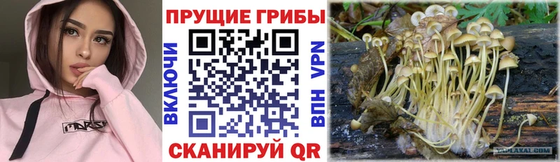 Галлюциногенные грибы мухоморы Азнакаево