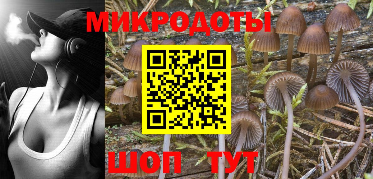 Псилоцибиновые грибы MAGIC MUSHROOMS  сколько стоит  Азнакаево 